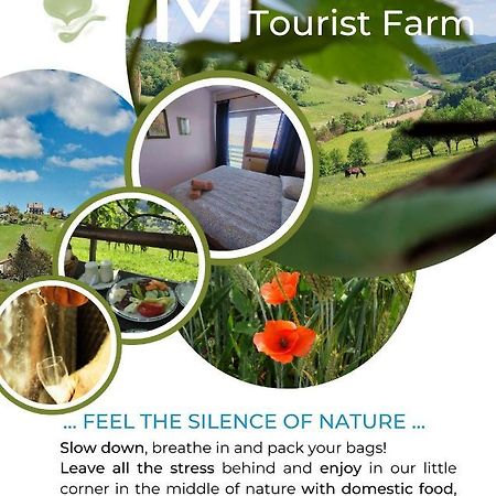 Masnec Tourist Farm Miljana Exterior foto